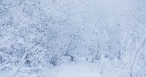 cc ai snow photo effect