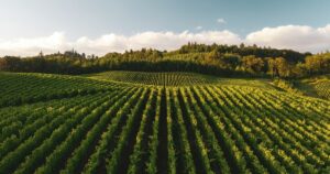 cc agri ai iot