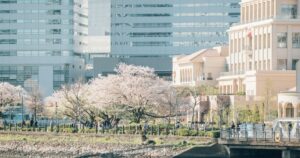 sr egov denshishinsei 1